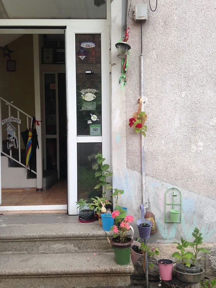 صوفيا Elysia Homestay